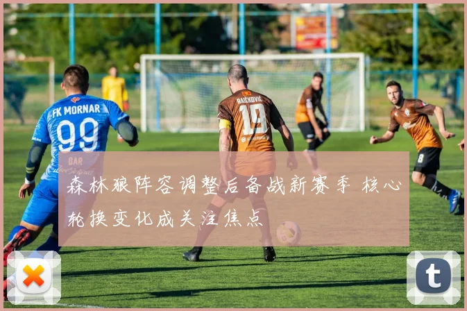 森林狼阵容调整后备战新赛季 核心轮换变化成关注焦点