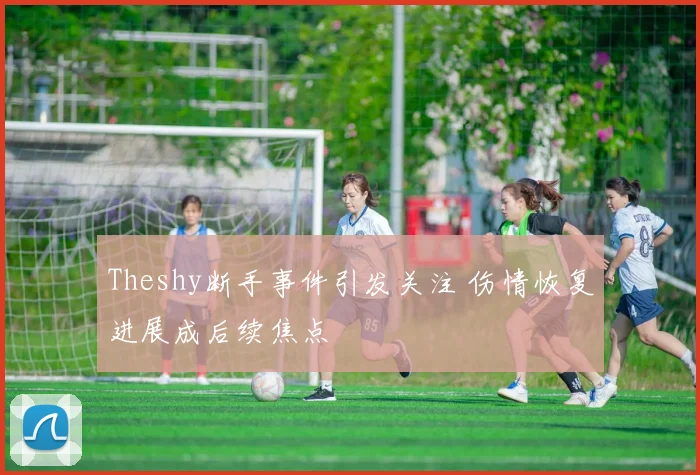 Theshy断手事件引发关注 伤情恢复进展成后续焦点